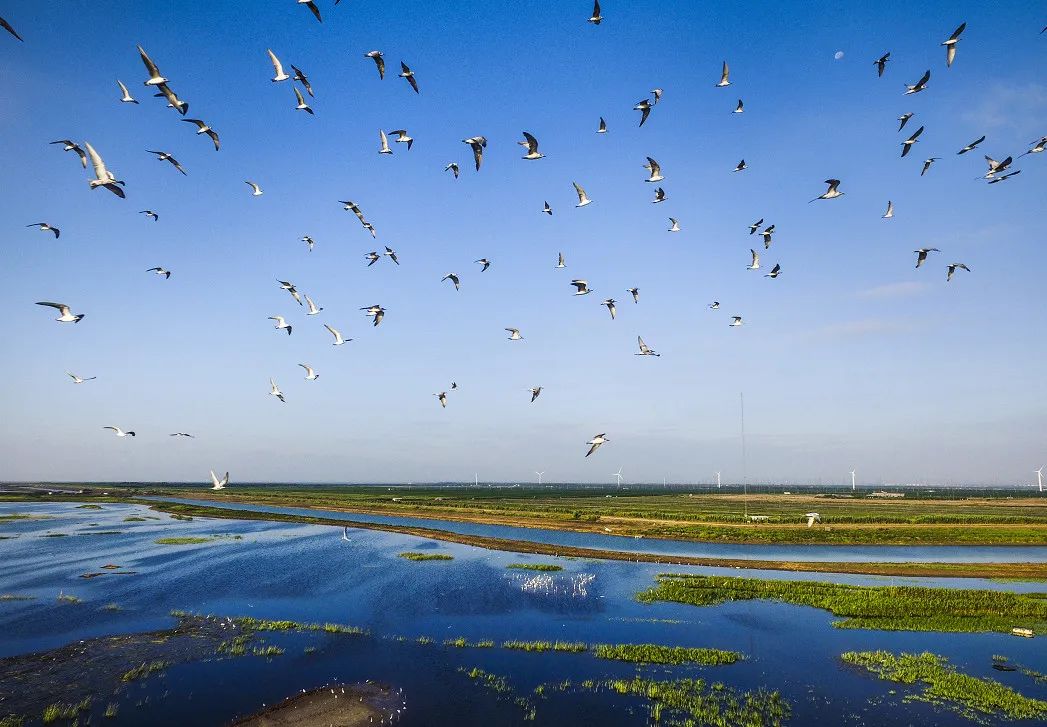 【国际生物多样性日】生物多样性保护知识知多少_生物多样性_专题专栏_海南州生态环境局